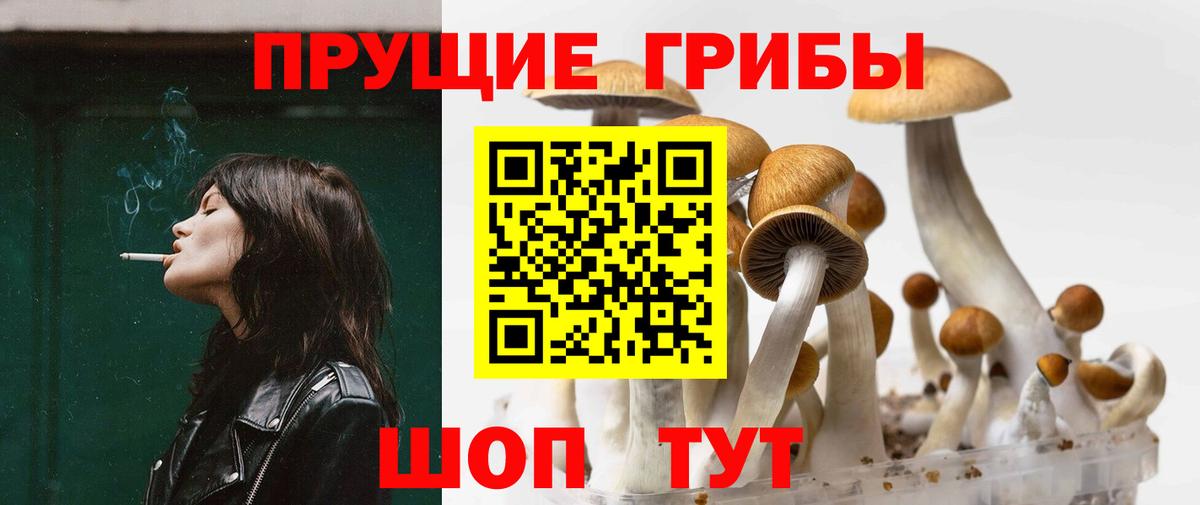 Галлюциногенные грибы Psilocybe  Галлюциногенные грибы ЛСД  Чехов  Вход с VPN 
